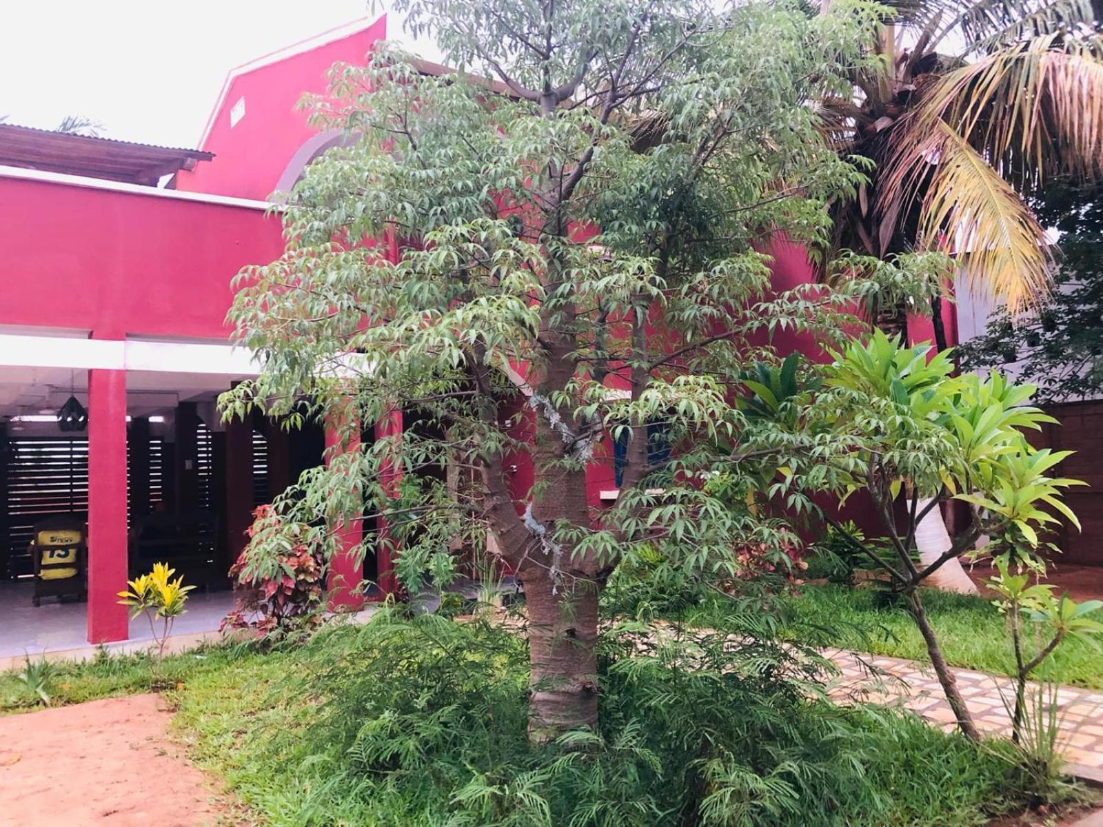 Bohobe Naboty Bed & Breakfast Toliara Exterior photo